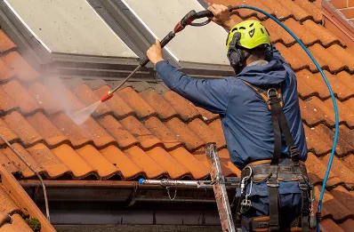 Démoussage et hydrofuge de toiture à Falck